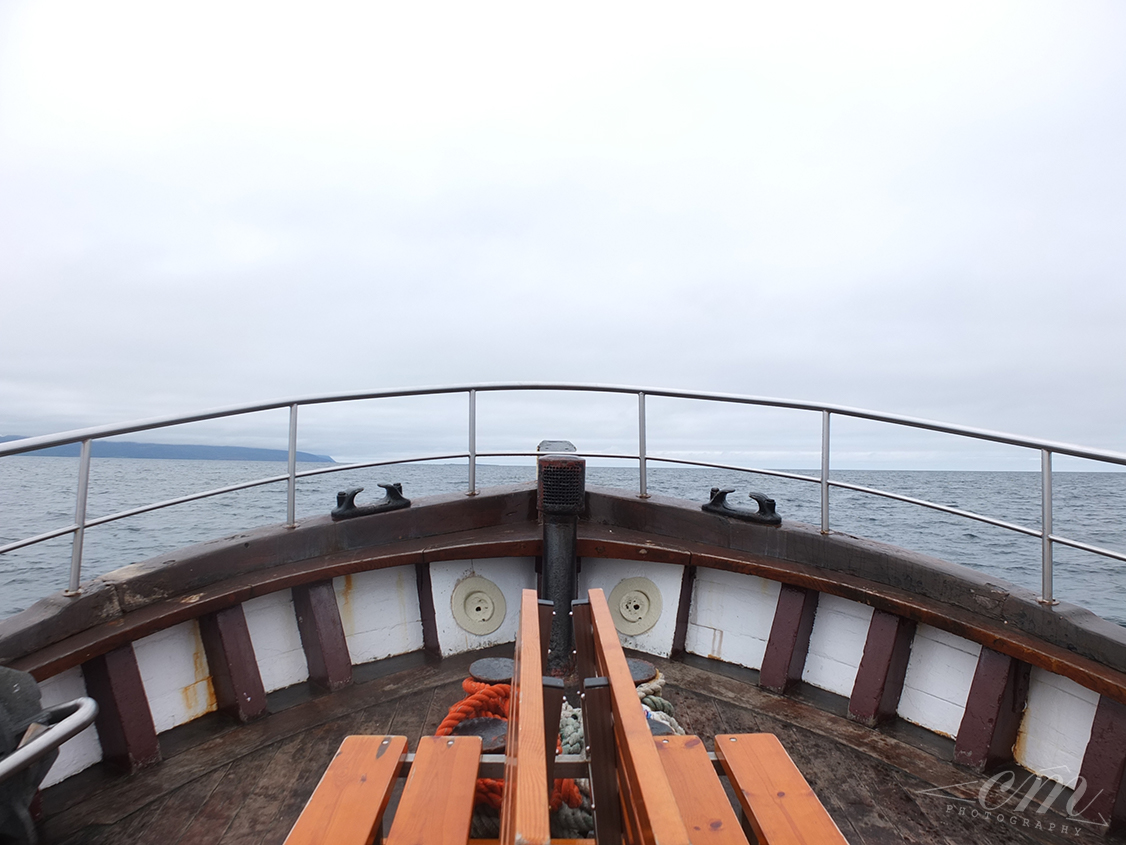 冰島北部Husavik賞鯨