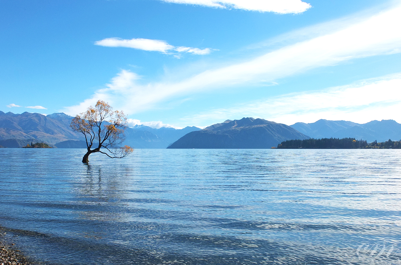 紐西蘭南島wanaka美食